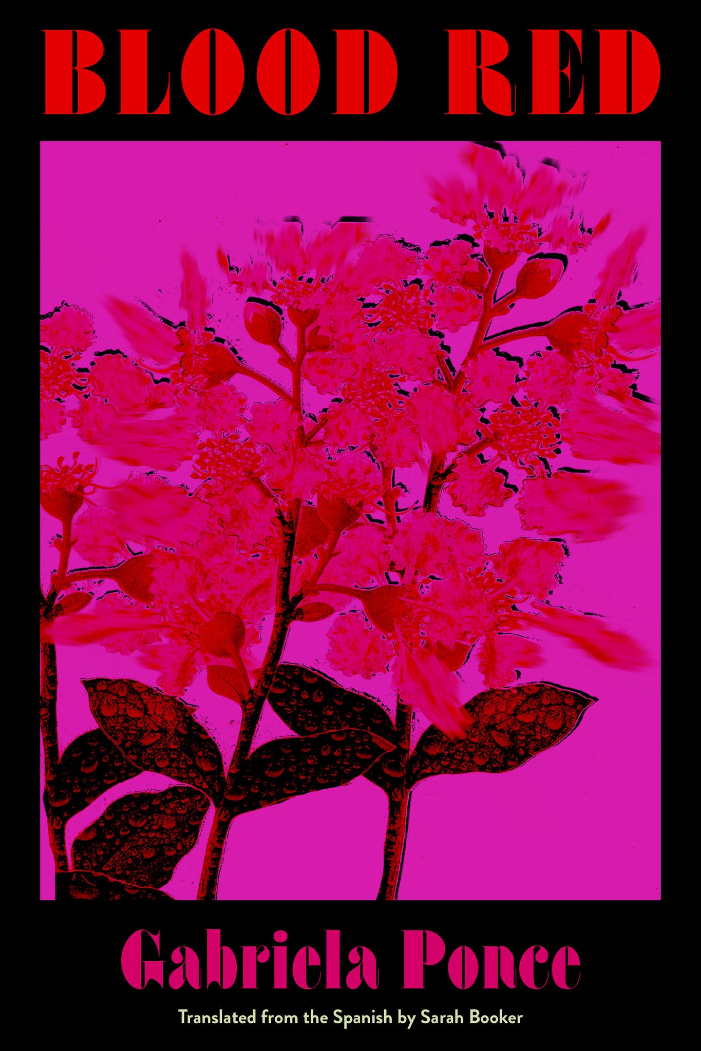Cover image for Blood Red ISBN